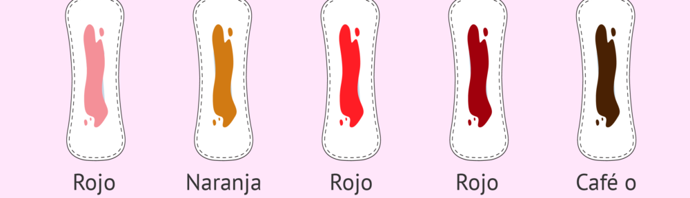 Sangre Menstrual Qué Indican Los Colores De Tu Regla Dicas Caseiras 1254